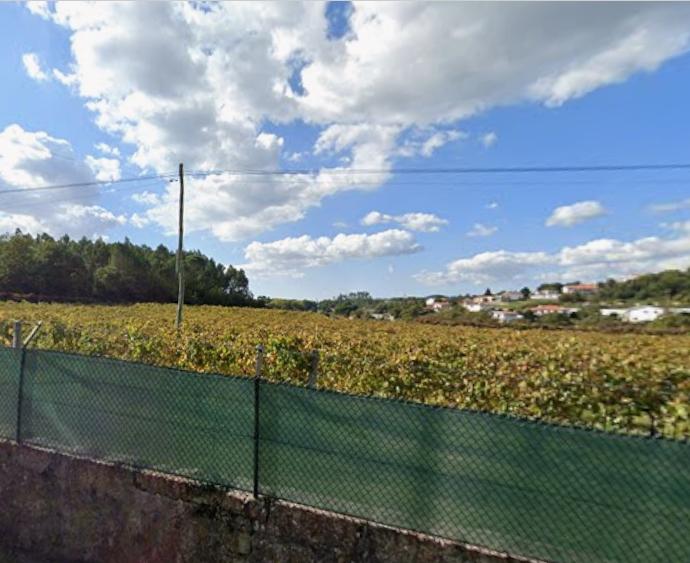 Herdade T6 Venda em Avidos e Lagoa,Vila Nova de Famalicão