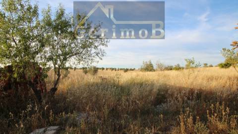 Moradia com negócio de restauração