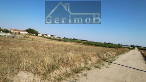 Terreno Misto  Venda em Poceirão e Marateca,Palmela