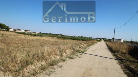 Terreno Misto  Venda em Poceirão e Marateca,Palmela