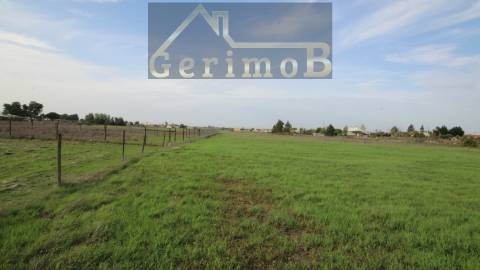 Terreno Rústico  Venda em Poceirão e Marateca,Palmela