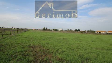 Terreno Rústico  Venda em Poceirão e Marateca,Palmela