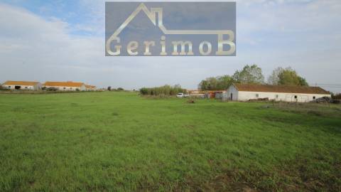 Terreno Rústico  Venda em Poceirão e Marateca,Palmela