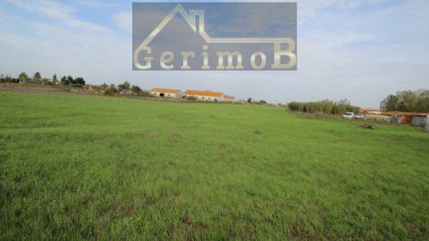 Terreno Rústico  Venda em Poceirão e Marateca,Palmela