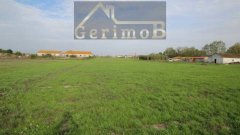 Terreno Rústico  Venda em Poceirão e Marateca,Palmela