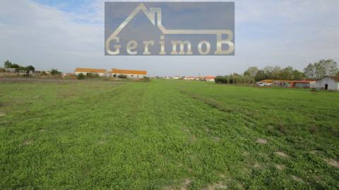 Terreno Rústico  Venda em Poceirão e Marateca,Palmela