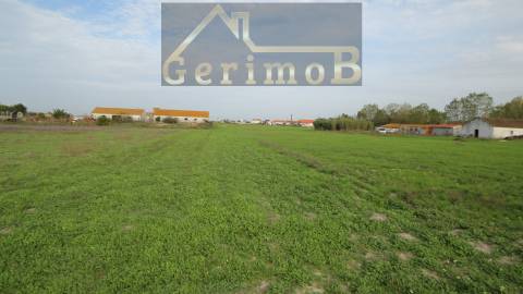 Terreno Rústico  Venda em Poceirão e Marateca,Palmela