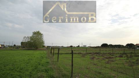 Terreno Rústico  Venda em Poceirão e Marateca,Palmela