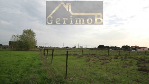 Terreno Rústico  Venda em Poceirão e Marateca,Palmela