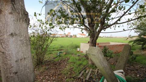 Terreno Rústico  Venda em Poceirão e Marateca,Palmela