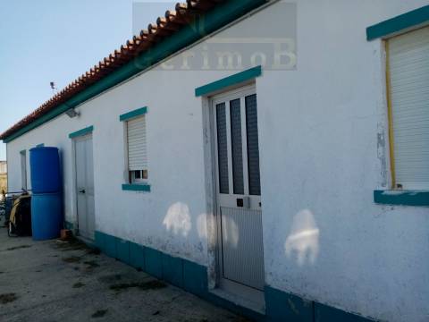 Moradia inserida em terreno misto em Lagameças, concelho de Palmela