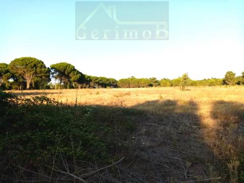 Terreno misto em Pegões Velhos