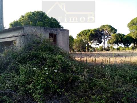 Terreno misto em Pegões Velhos