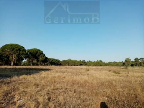 Terreno misto em Pegões Velhos