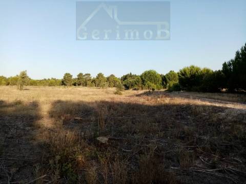 Terreno misto em Pegões Velhos