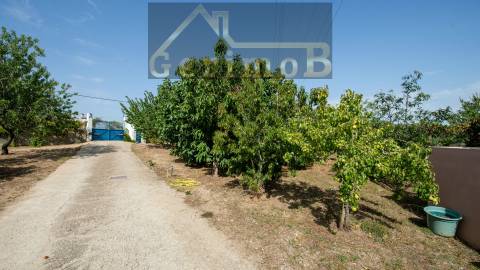 Moradia isolada T5, em Palmela,  com 225m2 de ABP e edificada num terreno com 1927m2