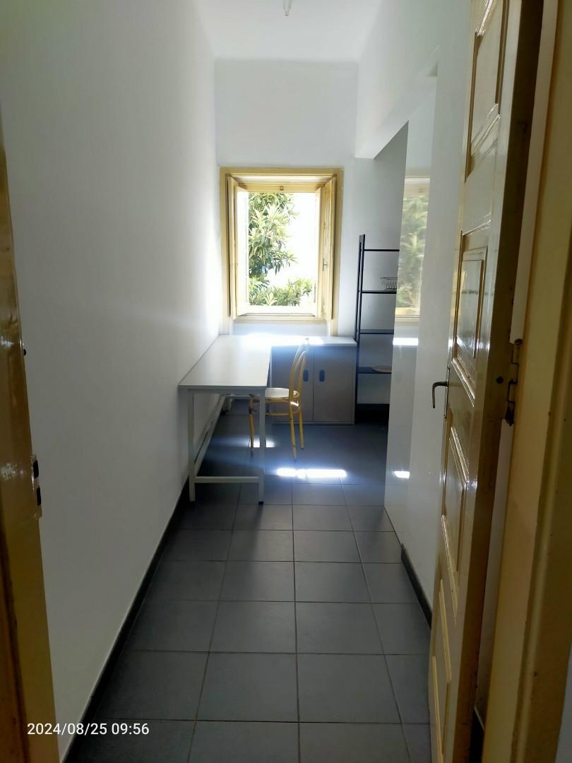 Apartamento T5 Arrendamento em Coimbra (Sé Nova, Santa Cruz, Almedina e São Bartolomeu),Coimbra