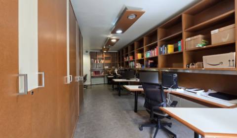 Atelier de Charme - Privacidade, Luz e Prestígio no Coração de Campo de Ourique