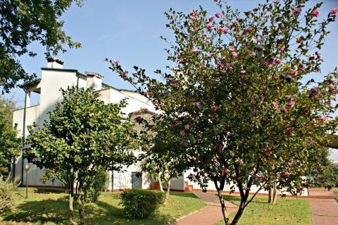 Fabulosa quinta em Guimarães