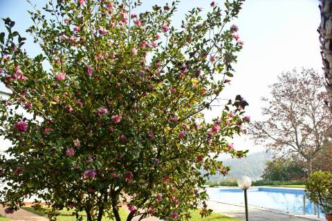 Fabulosa quinta em Guimarães