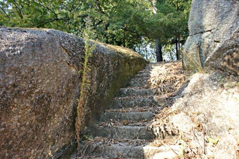 Fabulosa quinta em Guimarães