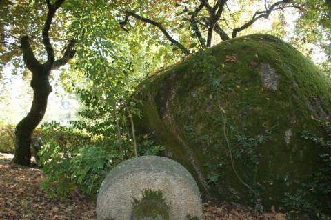 Fabulosa quinta em Guimarães