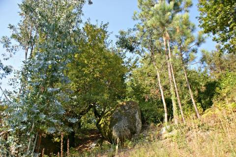 Fabulosa quinta em Guimarães