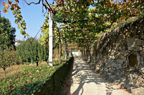 Fabulosa quinta em Guimarães