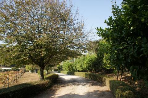 Fabulosa quinta em Guimarães