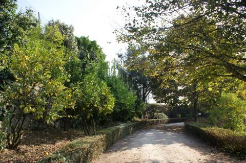 Fabulosa quinta em Guimarães