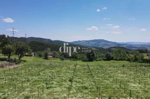 Quinta para restauro com 65.000 m2