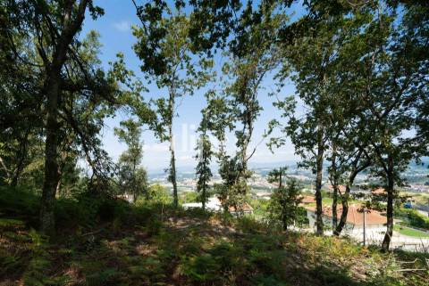 Lote de terreno com vistas panorâmicas para a cidade de Guimarães