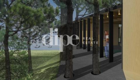 Lote de terreno com vistas panorâmicas para a cidade de Guimarães