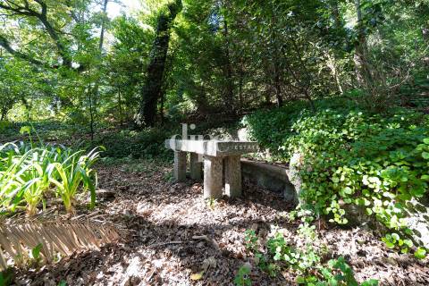 Icónica Casa da Espinhosa