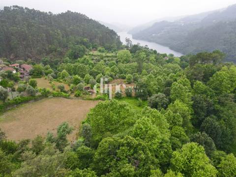 Terreno com 13.714 m2 situado no Gerês.