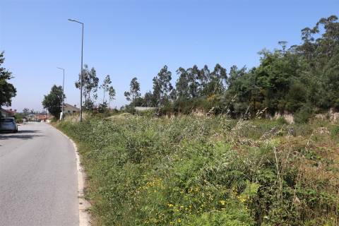 Lote de Terreno  Venda em Lustosa e Barrosas (Santo Estêvão),Lousada