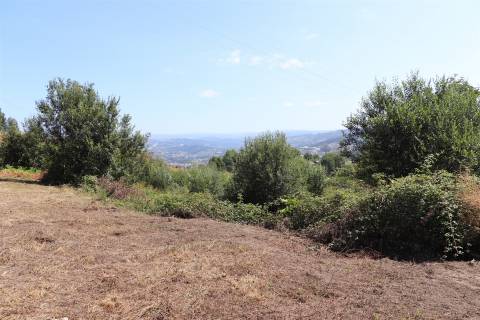 Lote de Terreno  Venda em Lustosa e Barrosas (Santo Estêvão),Lousada