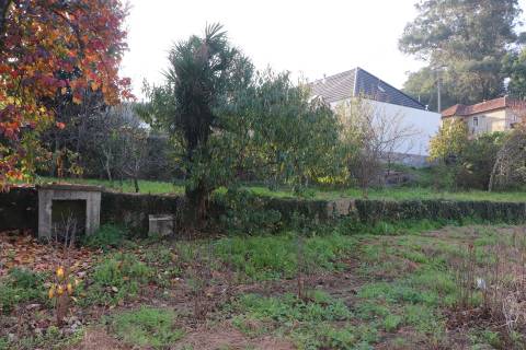 Terreno Para Construção  Venda em Campo (São Martinho), São Salvador do Campo e Negrelos (São Mamede),Santo Tirso