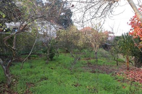 Terreno Para Construção  Venda em Campo (São Martinho), São Salvador do Campo e Negrelos (São Mamede),Santo Tirso