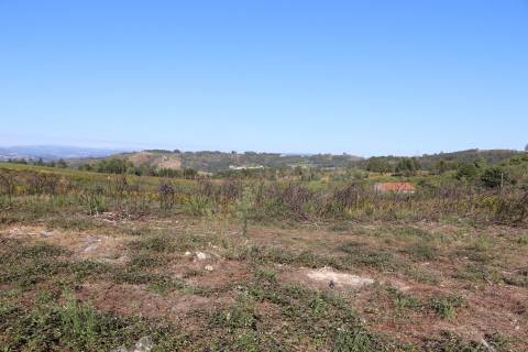 Terreno Para Construção  Venda em Lustosa e Barrosas (Santo Estêvão),Lousada
