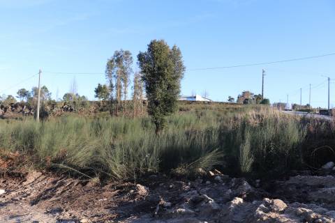 Terreno Para Construção  Venda em Lustosa e Barrosas (Santo Estêvão),Lousada