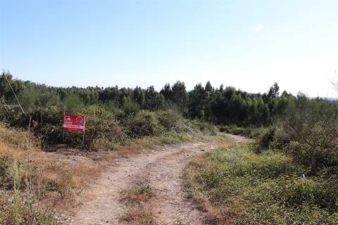 Lote de Terreno  Venda em Lustosa e Barrosas (Santo Estêvão),Lousada