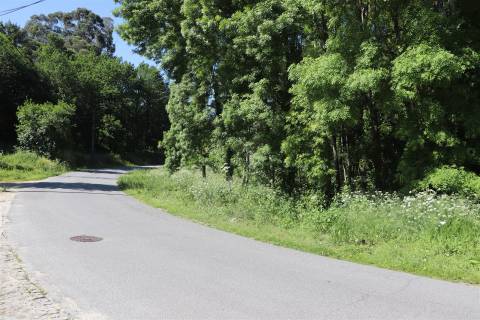 Lote de Terreno  Venda em Santa Eulália,Vizela