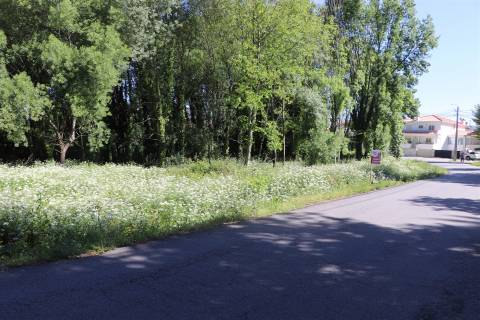Lote de Terreno  Venda em Santa Eulália,Vizela