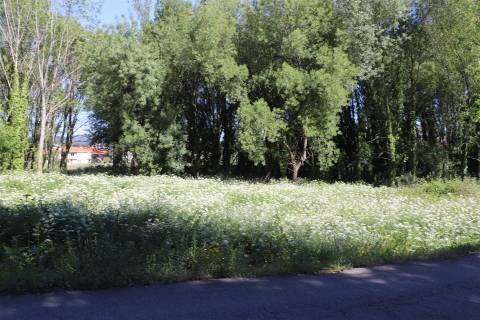 Lote de Terreno  Venda em Santa Eulália,Vizela