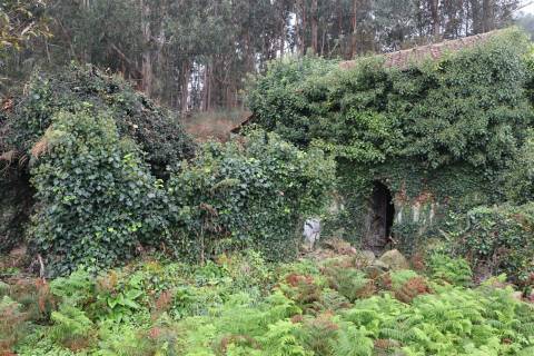 Moradia para Restaurar T2 Venda em Unhão e Lordelo,Felgueiras