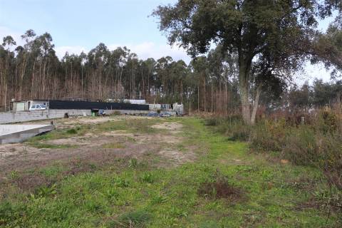 Lote de Terreno  Venda em Lustosa e Barrosas (Santo Estêvão),Lousada