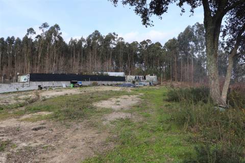Lote de Terreno  Venda em Lustosa e Barrosas (Santo Estêvão),Lousada