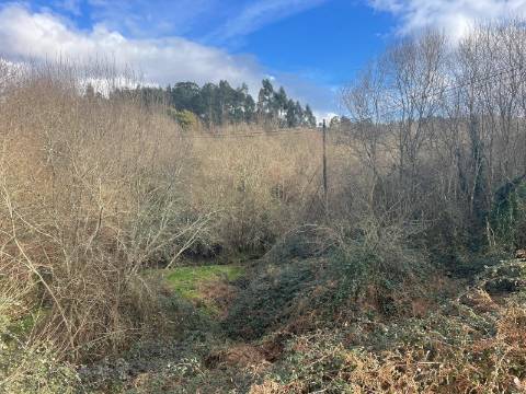 Terreno  Venda em Lustosa e Barrosas (Santo Estêvão),Lousada