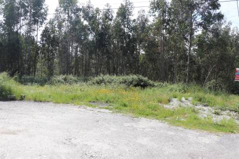 Lote de Terreno  Venda em Lustosa e Barrosas (Santo Estêvão),Lousada